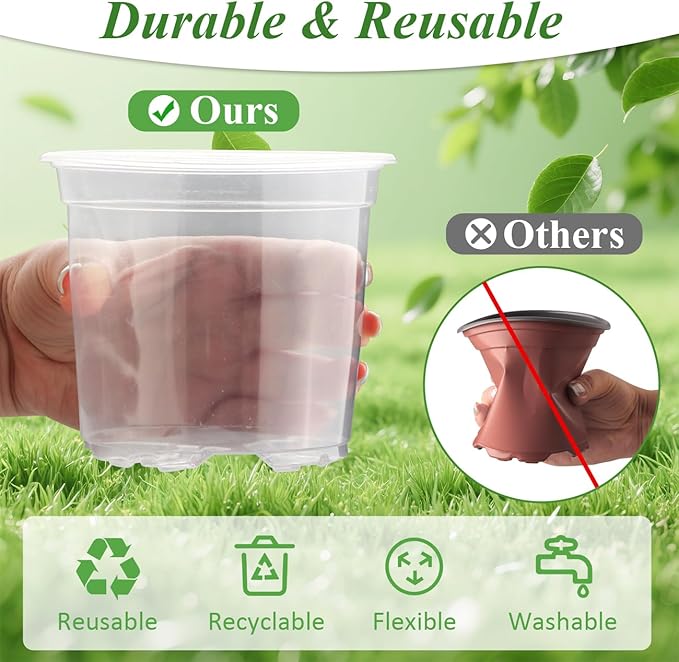 60 Pack Clear Nursery Pots - Image 6