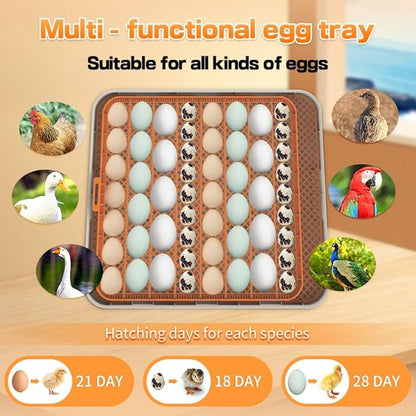 Automatic 56-Egg Incubator for Breeders, Sensor-Based Precise Humidity & Temp - Image 6