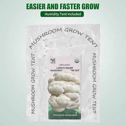 Large Organic Lion's Mane Mushroom Grow Kit - Image 8