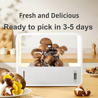 Mushroom Grow Box with LCD Display and LED Grow Light, Smart Mushroom Growing - Image 6
