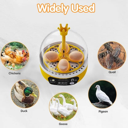 4 Eggs Mini Incubator with Transparent Lid, 7W Automatic Temperature Humidity - Image 6
