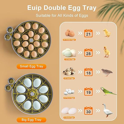 Incubator for Hatching Eggs-18 Egg Capacity, Automatic Egg Turner, Temperature - Image 5