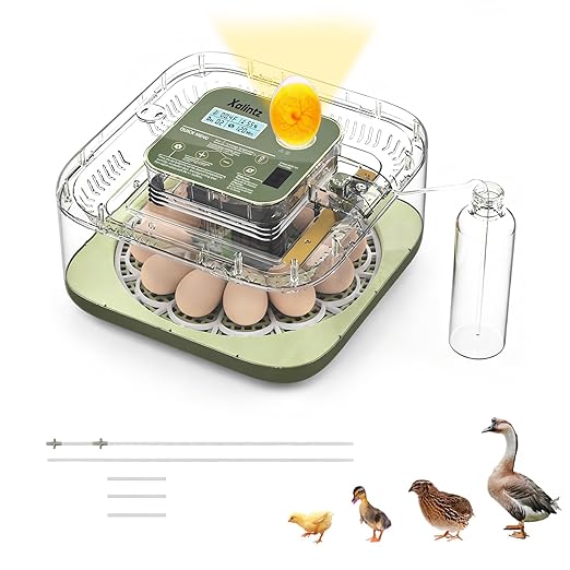 Automatic 12 Egg Incubator by Unknown