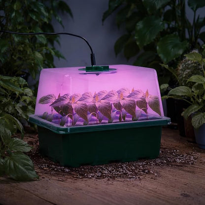 Bonviee 5 Packs Seed Starter Tray - Image 8