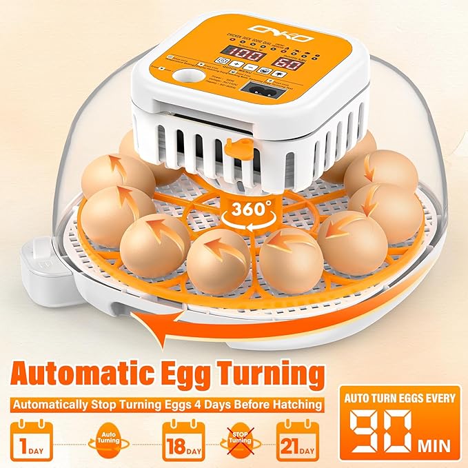 ONKO 12 Egg Incubator with Auto Temp & Humidity Control - Image 5