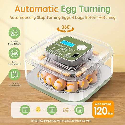 Incubator for Hatching Eggs Automatic Humidity and Temperature Control 12 Eggs - Image 5