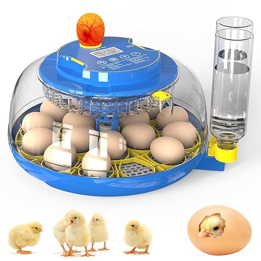 Incubator for Hatching Eggs by Unknown