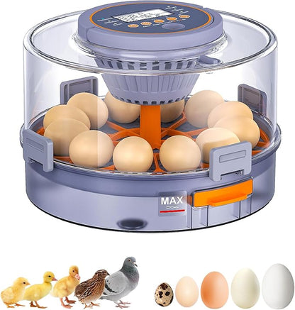 Incubators for Hatching Eggs, 12 Chicken Incubator by Unknown