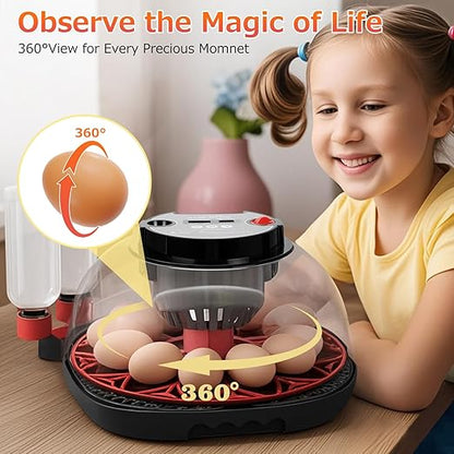 12 Egg Incubators for Hatching Eggs Automatic Egg Incubator - Image 7