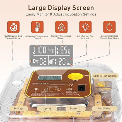 4th Gen - 12 Egg Fully Automatic Incubator, 2026 Upgraded Design, Intelligent - Image 2
