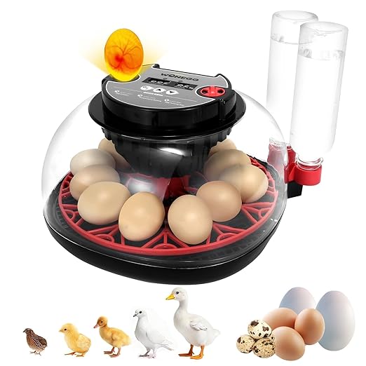 2nd Gen - 12 Egg Automatic Incubator, Two-Stage Humidity by Unknown