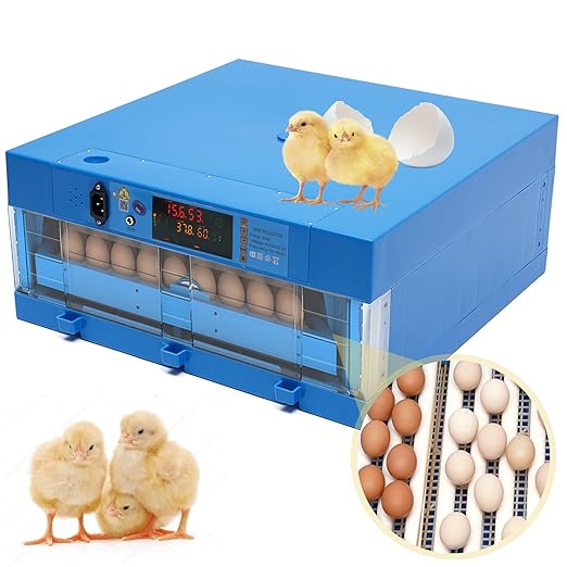 64 Hatching Eggs Incubator Digital Automatic Incubator, Temperature Humidity by SanBouSi