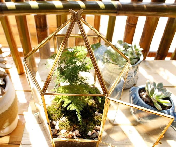 ELEGANTLIFE Glass Geometric Plant Terrarium, Succulent & Air Planter - Image 5