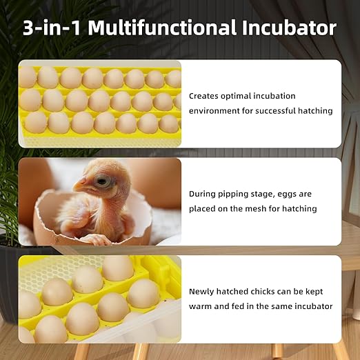 Egg Incubator for Hatching Eggs, Automatic Egg Turner & Digital Humidity Control - Image 4