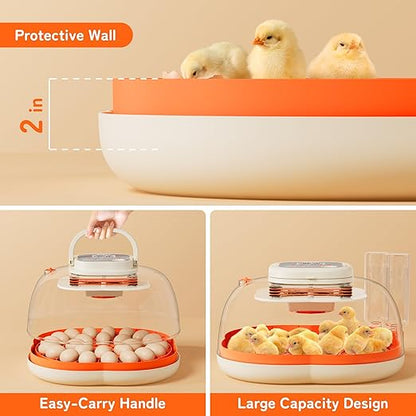 25 Egg Incubator, Extra-Large Interior - Image 2