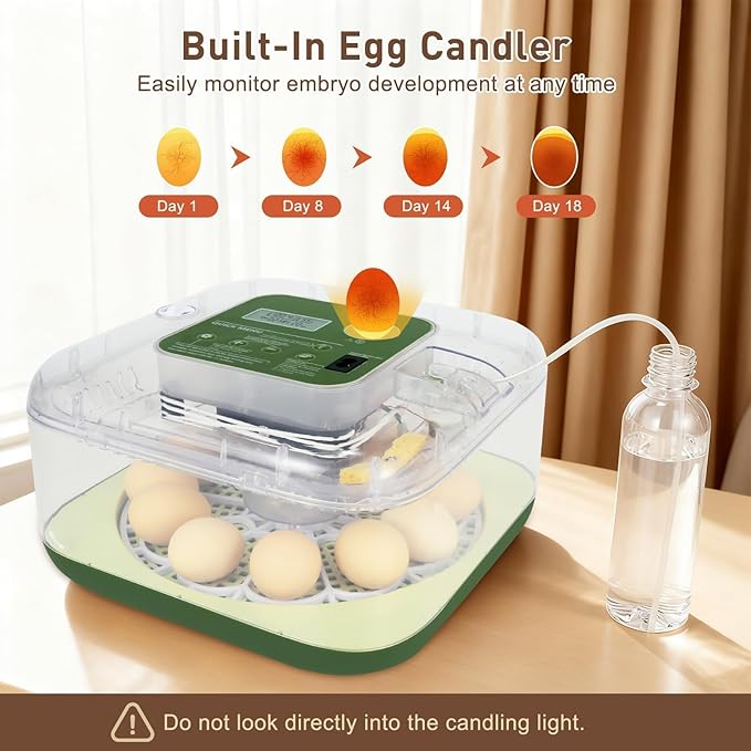 2026 New Auto 12-Egg Incubator for Beginners, Automated Incubation, - Image 3