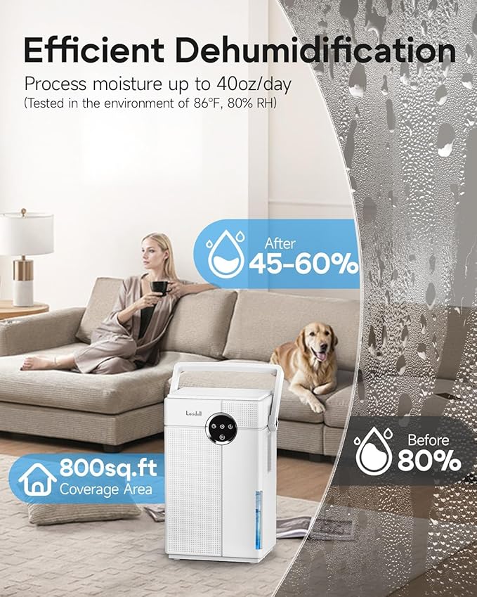Small Dehumidifier with Drain Hose, Portable Dehumidifier - Image 3