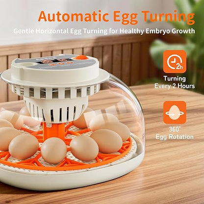Egg Incubator with Temperature and Humidity Control, Automatic Egg Turning - Image 3