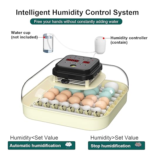 35 Egg Incubator with Automatic Egg Turning and Humidity Control, Incubator - Image 4