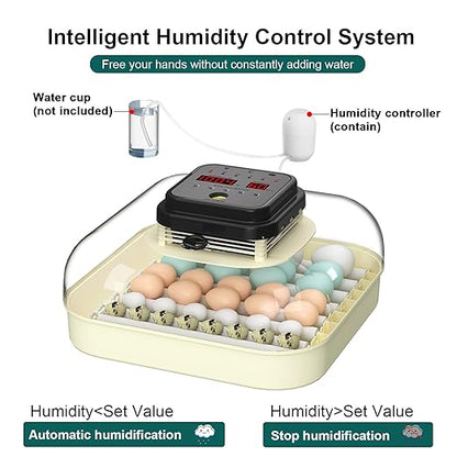 35 Egg Incubator with Automatic Egg Turning and Humidity Control, Incubator - Image 4