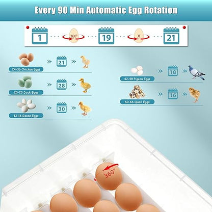 Incubators for Hatching Eggs, 36 Egg Incubator, Automatic Egg Turning, - Image 8