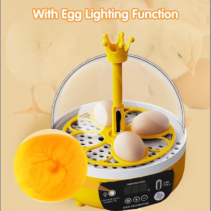 4 Eggs Mini Incubator with Transparent Lid, 7W Automatic Temperature Humidity - Image 8