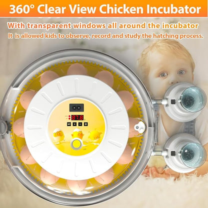 Egg Incubators for Hatching Eggs - Image 6