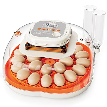 25 Egg Incubator, Extra-Large Interior by APDOE