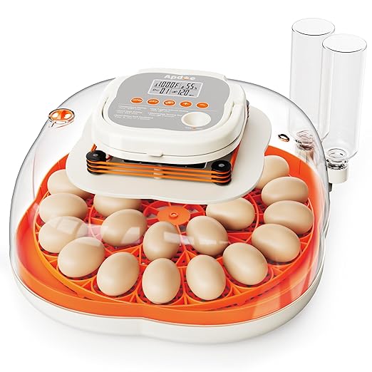 25 Egg Incubator, Extra-Large Interior by APDOE