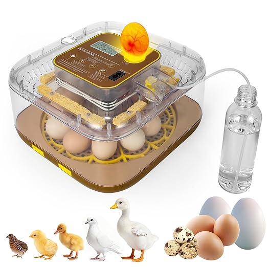 4th Gen - 12 Egg Fully Automatic Incubator, 2026 Upgraded Design, Intelligent by Unknown
