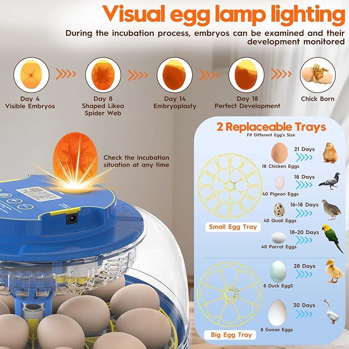 Incubator for Hatching Eggs-18 Egg Incubator - Image 5