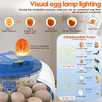 Incubator for Hatching Eggs-18 Egg Incubator - Image 5