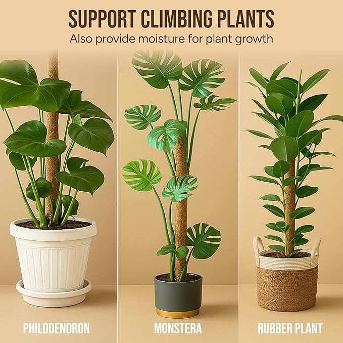 Moss Pole Monstera Plant Support – 2 Pack 28” Bendable Moss Pole Monstera Plant - Image 2