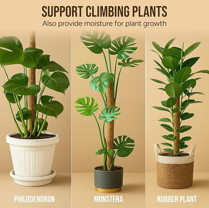 Moss Pole Monstera Plant Support – 2 Pack 28” Bendable Moss Pole Monstera Plant - Image 2