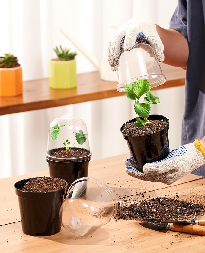 homenote Nursery Pots for Plants, 3 Inch Plant Pot for Planting - Image 2