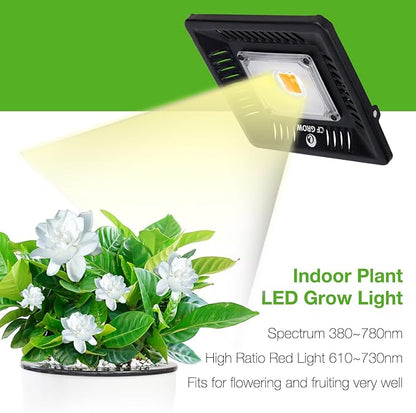 Waterproof 100W LED Grow Light Full Spectrum, CFGROW 3500K White COB LED Grow - Image 2