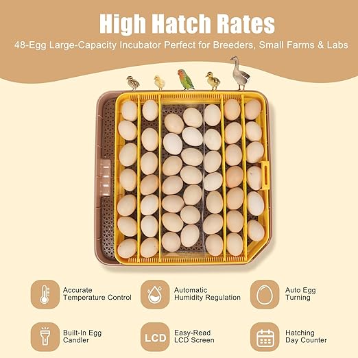 4th Gen - 48 Egg Fully Automatic Incubator, 2026 Upgraded Design, Intelligent - Image 5