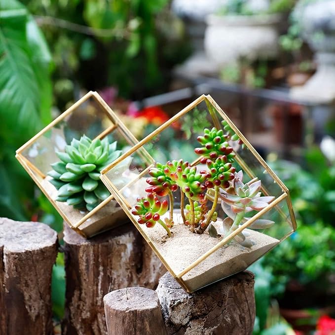 ELEGANTLIFE Glass Geometric Plant Terrarium, Succulent & Air Planter - Image 4
