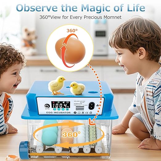 Automatic Egg Incubator 16 Egg Incubators - Image 7