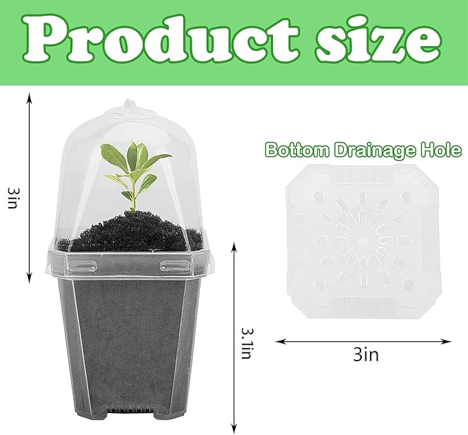 EBaokuup 50 Pcs Clear Plant Nursery Pots - Image 2
