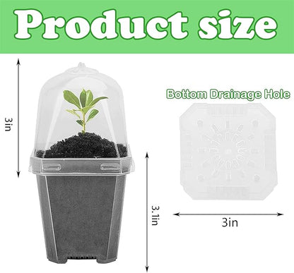 EBaokuup 50 Pcs Clear Plant Nursery Pots - Image 2