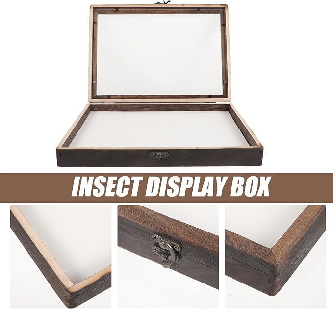 Angoily Wooden Insect Display Case Specimen Box - Image 8