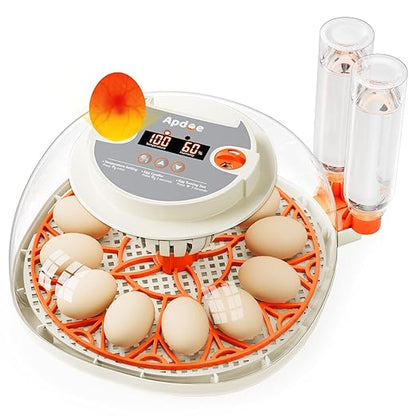 Egg Incubator with Temperature and Humidity Control, Automatic Egg Turning by APDOE