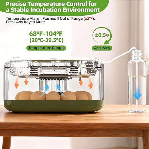 Automatic 12 Egg Incubator - Image 3