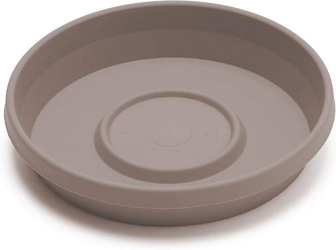 Bloem Terra Resin Saucer Tray: 6.5" Bottom Width - Image 4