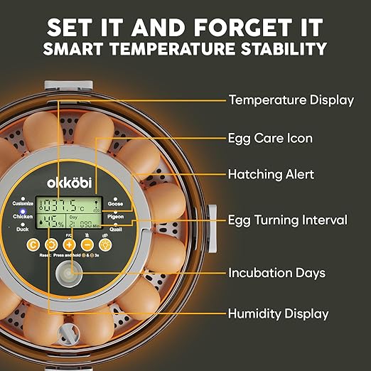 12 Egg Incubator with Automatic Egg Turning and Humidity Control – Temperature - Image 4