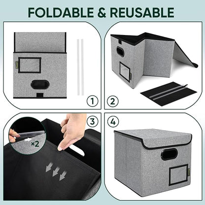 BALEINE File Organizer Box - Image 8