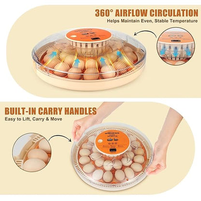 2nd Gen 30 Egg Incubator, Wide-Range Humidity - Image 5