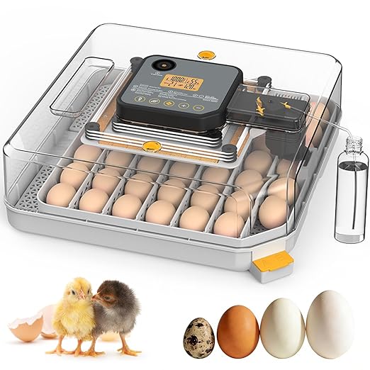 Incubators for Hatching Eggs, 48 Egg Incubator by Unknown