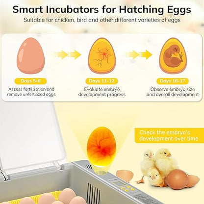 36-60 Egg Incubator with Automatic Egg Turning and Humidity Control, Chicken - Image 3
